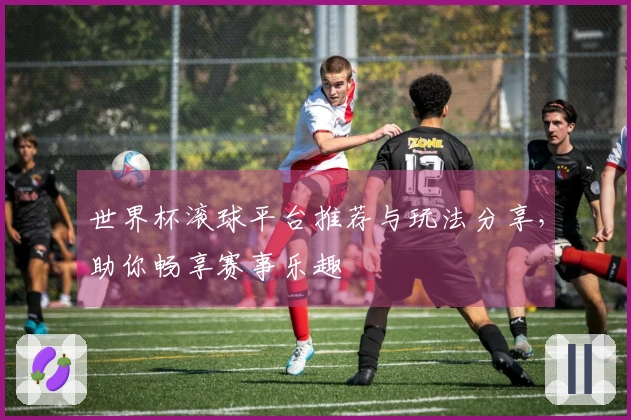 世界杯滚球平台推荐与玩法分享，助你畅享赛事乐趣