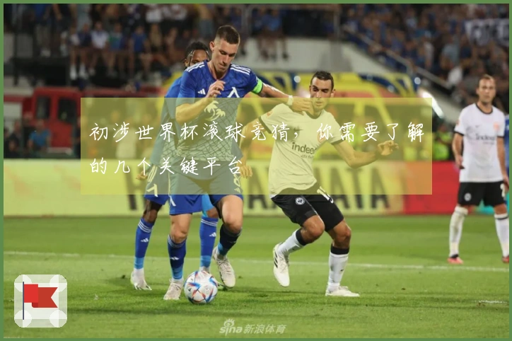 初涉世界杯滚球竞猜，你需要了解的几个关键平台