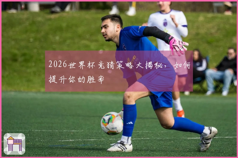 2026世界杯竞猜策略大揭秘，如何提升你的胜率