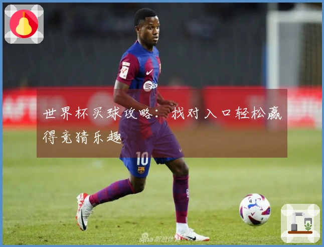 世界杯买球攻略：找对入口轻松赢得竞猜乐趣