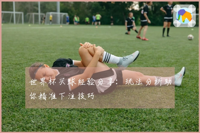 世界杯买球经验分享：玩法分析助你精准下注技巧