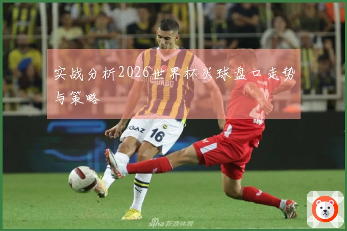 实战分析2026世界杯买球盘口走势与策略
