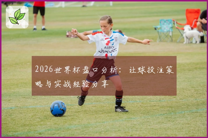 2026世界杯盘口分析：让球投注策略与实战经验分享