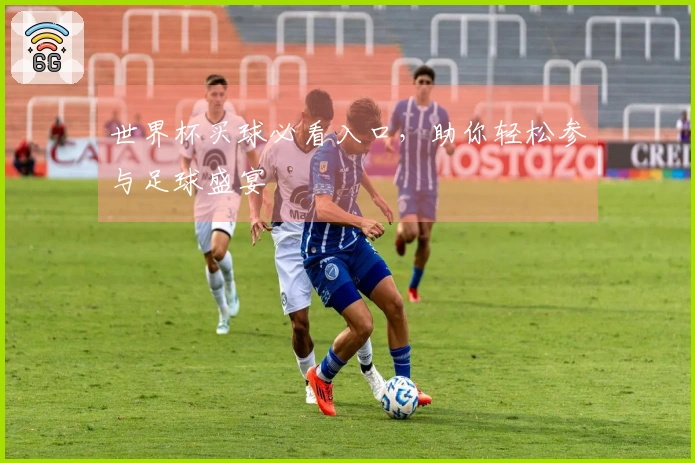 世界杯买球必看入口，助你轻松参与足球盛宴