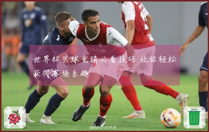 世界杯买球竞猜必看技巧 让你轻松获得赛场乐趣