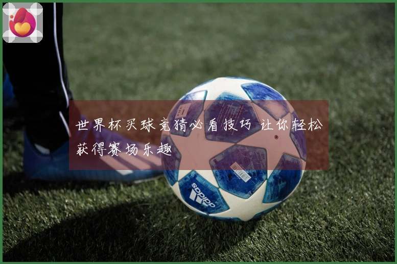 世界杯买球竞猜必看技巧 让你轻松获得赛场乐趣