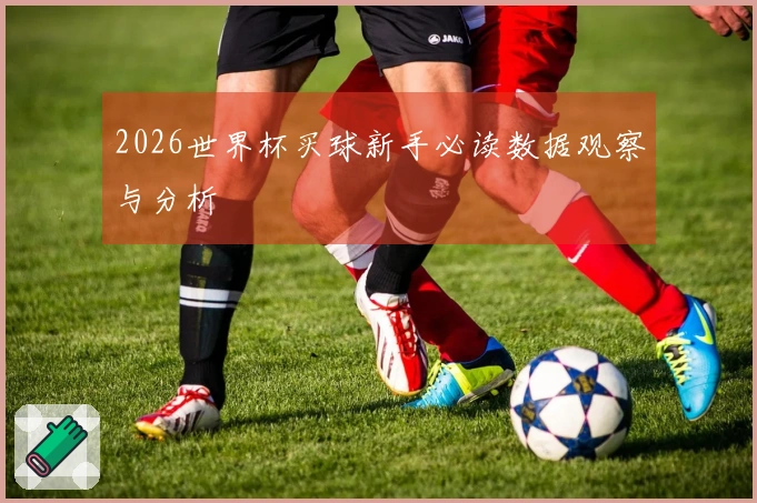 2026世界杯买球新手必读数据观察与分析